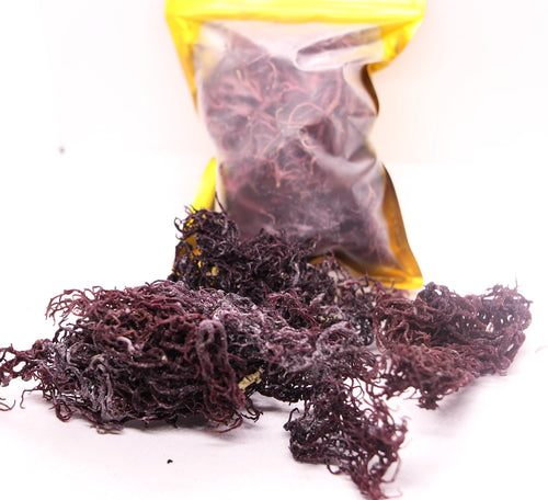 1oz Purple Seamoss